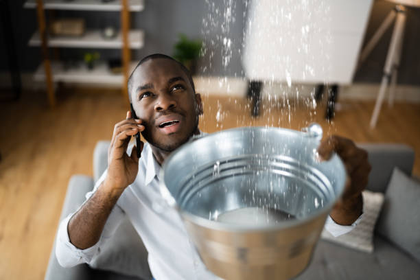 Best Professional water damage repair  in Port Angeles, WA