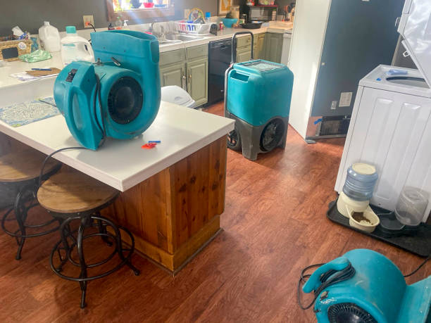 Best Sewage cleanup and water damage restoration  in Port Angeles, WA