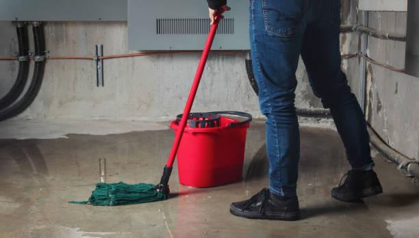 Best Ceiling water damage repair  in Port Angeles, WA