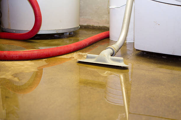  Port Angeles, WA Water damage restoration Pros
